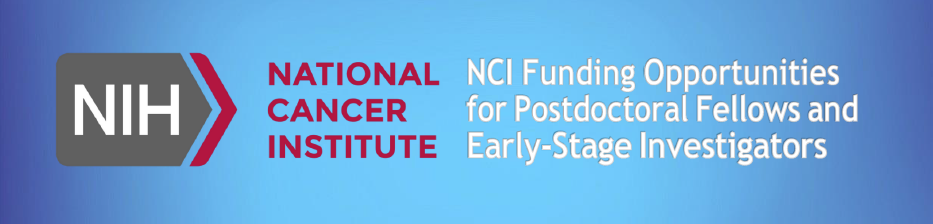 NCI logo