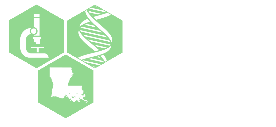 lbrn logo