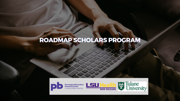 roadmap scholars