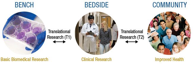 Translational Science